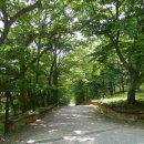 용천사 석등 이미지