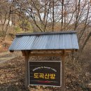 도곡산방 | 밀양 우정여행 촌캉스 숙소 추천 도곡산방