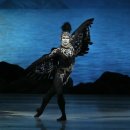 니나호프 이미지