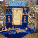 캐터리 페르마타 이미지