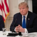 애플통상 이미지