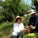 수겔러리카페펜션 이미지