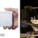 모일