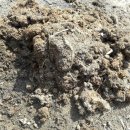 일륜목장 이미지