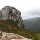 완도20호 이미지