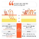 메일리팜 | 백탁현상없는선크림 리쏘르 사계절선크림으로 딱이에요!
