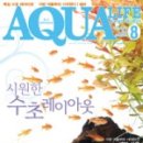 아쿠아라이프 이미지