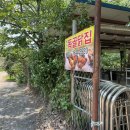 독골닭집 이미지