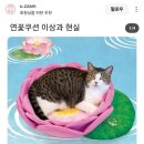 가내수공업 동명 이미지