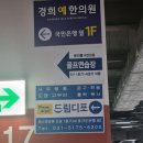 드림디포미사테스타 이미지