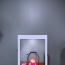 샤론헤어 이미지