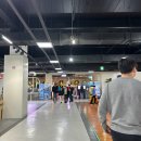 물고기파충류카페_전주 아이랑 갈만한 곳 내돈내산 솔직방문후기