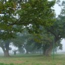 함평향교초등학교 이미지