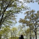 동백산오름공원 테니스장 네이버블로그