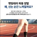 햇빛테라