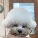 복희쌀롱 이미지