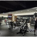 피트니스 엘 이미지