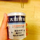 봄숲속모리 이미지
