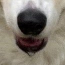 황학동캠핑장 이미지