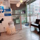 웅상동물병원 | 양산 서창 동물병원 / 서창 동물병원 추천 / 서창사랑 동물병원 후기