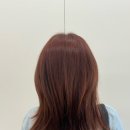 다겸
