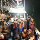 완도17호 이미지