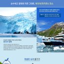 스카이관광여행사 이미지