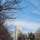 양재우성아파트 이미지