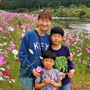 서석면생활체육공원 이미지