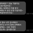 고양이미용 캣어스 이미지
