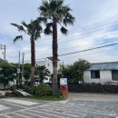 카프리애월민박 이미지