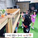 꼬기랑놀자