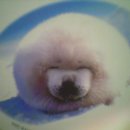 승현이네 이미지