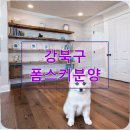 봉식동물병원 | 서른한 살 프리랜서 디자이너 강북구 폼스키분양에 150만 원 사기당한 후기