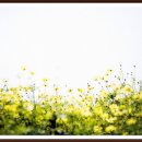 훼미리탁구 Daum카페