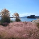 바람불어 좋은날 이미지