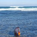 미비마을회관 이미지