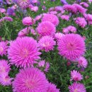 풍요의 아침 이미지