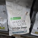 야은로-24 이미지