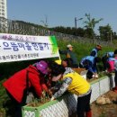 창원 봉림천 창원일보