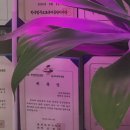 회룡한의원 네이버블로그