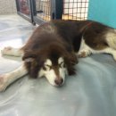 구름뜬하늘 이미지