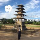 목포북교초등학교 오층석탑 | 부여 가볼만한 곳ㅣ정림사지오층석탑 백제문화유산