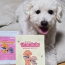 원양참치 | 소프트 슬라이스로 부드럽게! 강아지 참치 수제간식 추천 후기