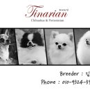 티나리안 이미지