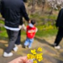 대왕수천 이미지