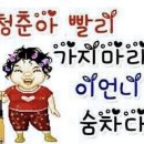홍홍