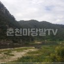 유명낚시 이미지