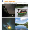 월드메디투어