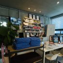 팀 드래곤 이미지